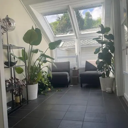 Daire House Close To Available Ons 2024 *